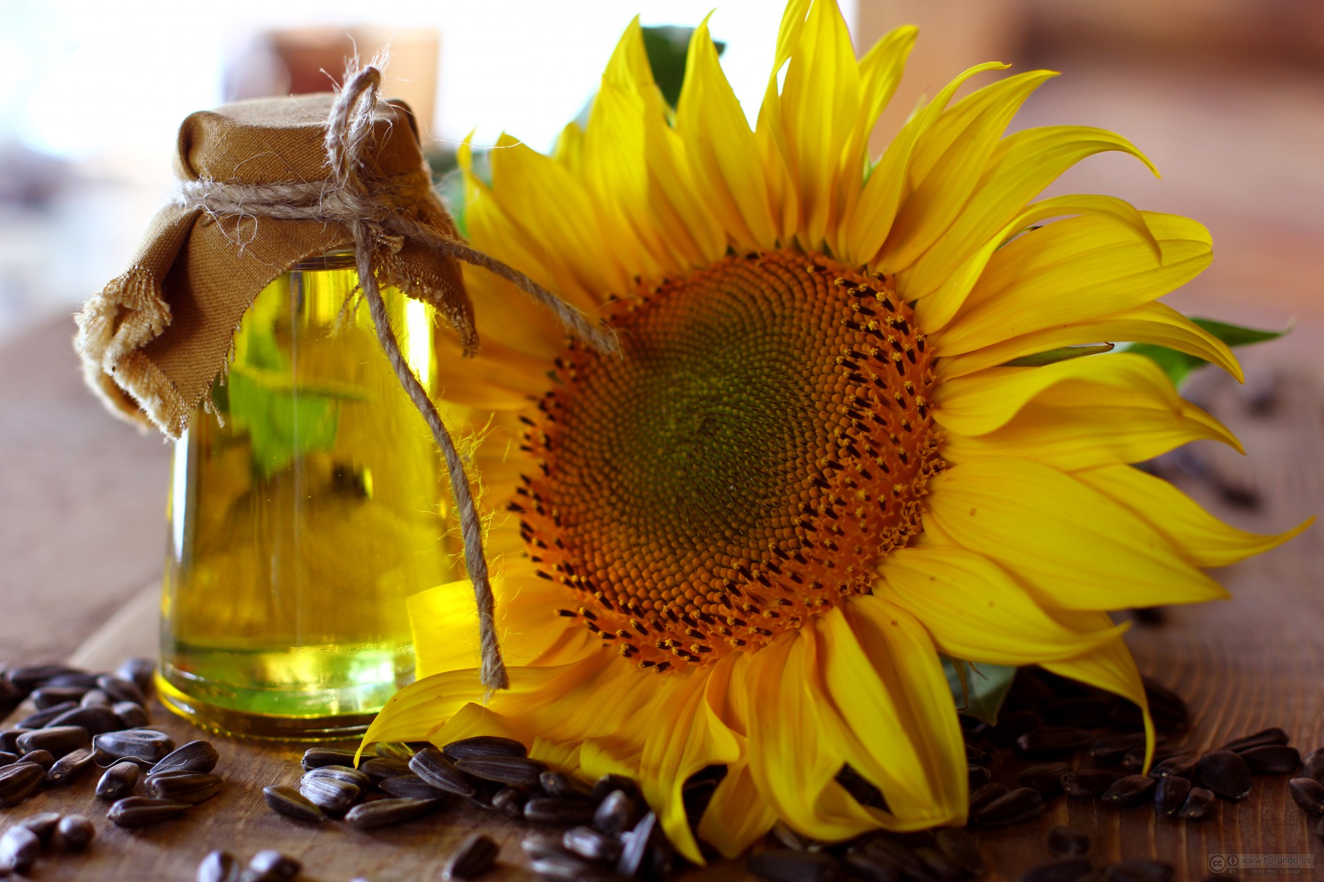 1706690328Sunflower_oil_and_sunflower.jpg